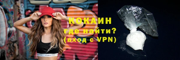 мет Няндома