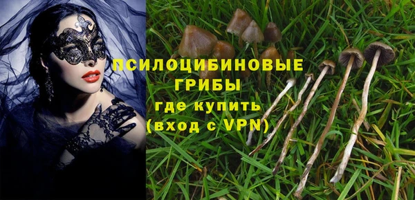 амфетамин Алексеевка