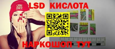 PSILOCYBIN Кинель