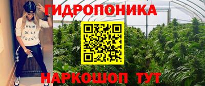 PSILOCYBIN Кинель