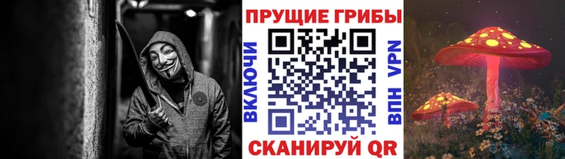 купить  сайты  kraken ONION  Галлюциногенные грибы Psilocybine cubensis  Майский 