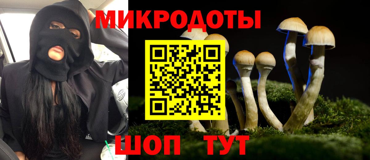 Псилоцибиновые грибы Psilocybine cubensis  Вход с VPN  Майский 